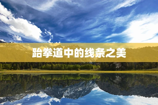跆拳道中的线条之美