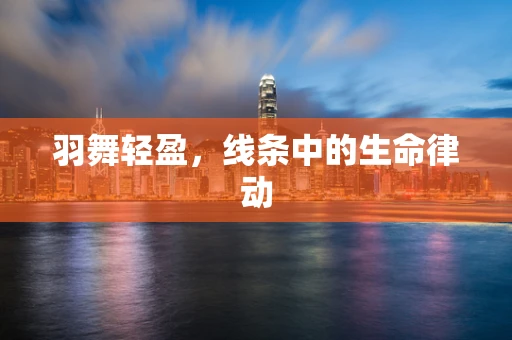 羽舞轻盈，线条中的生命律动