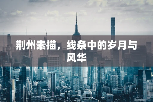 荆州素描，线条中的岁月与风华