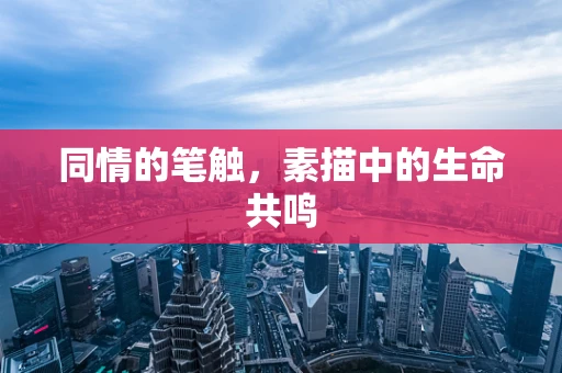同情的笔触，素描中的生命共鸣