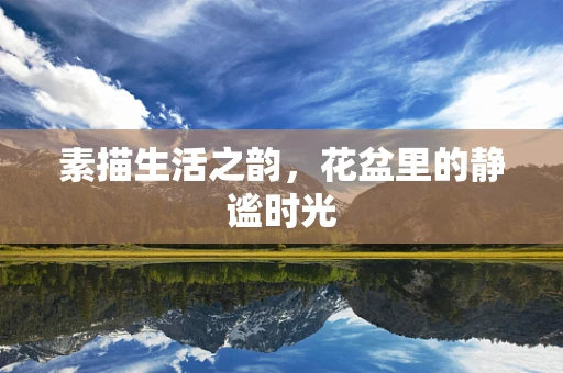 素描生活之韵，花盆里的静谧时光