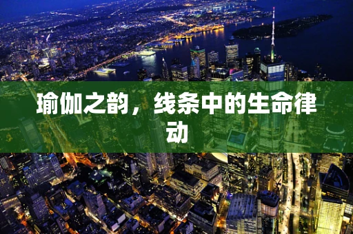 瑜伽之韵，线条中的生命律动