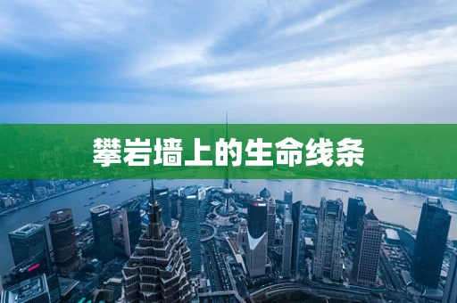 攀岩墙上的生命线条