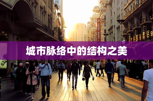 城市脉络中的结构之美