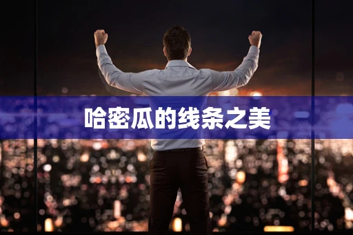 哈密瓜的线条之美