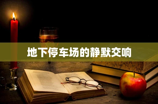 地下停车场的静默交响