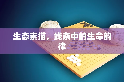 生态素描，线条中的生命韵律