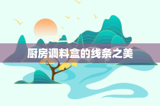 厨房调料盒的线条之美