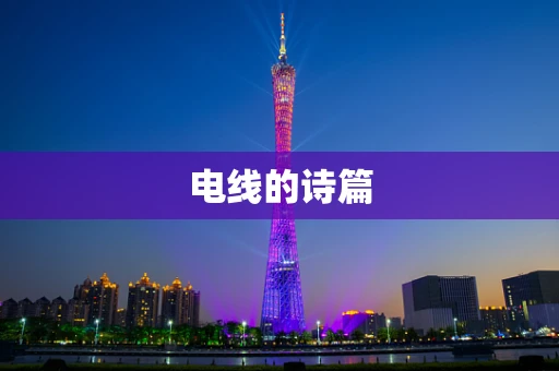 电线的诗篇