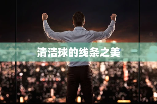 清洁球的线条之美
