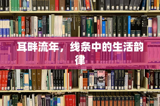 耳畔流年，线条中的生活韵律