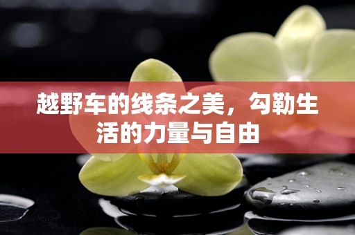 越野车的线条之美，勾勒生活的力量与自由