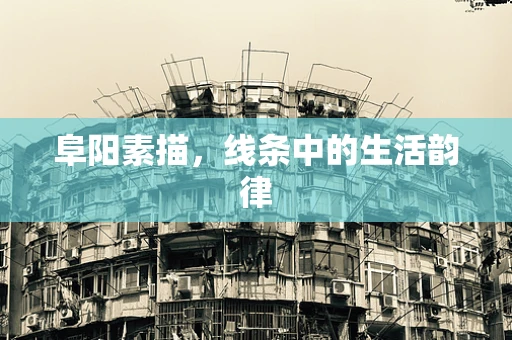 阜阳素描，线条中的生活韵律