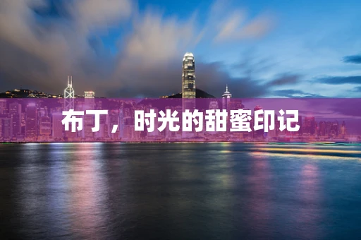 布丁，时光的甜蜜印记