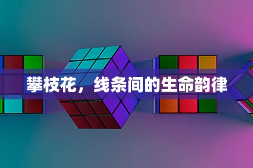 攀枝花，线条间的生命韵律