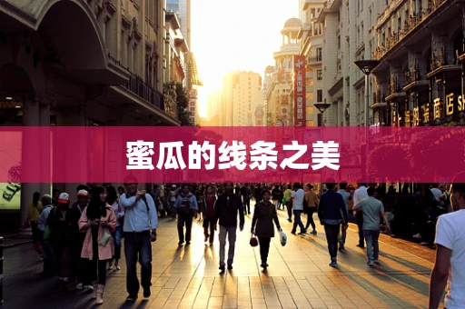 蜜瓜的线条之美