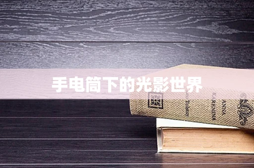 手电筒下的光影世界