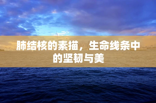 肺结核的素描，生命线条中的坚韧与美