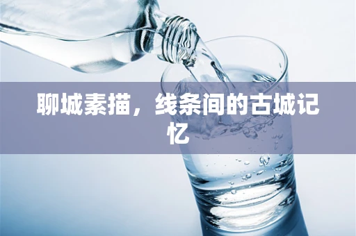 聊城素描，线条间的古城记忆