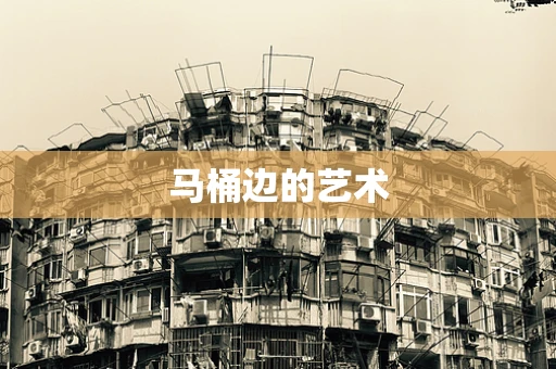 马桶边的艺术