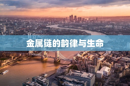 金属链的韵律与生命
