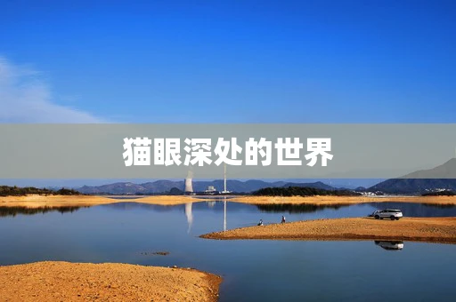 猫眼深处的世界