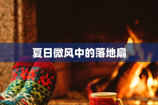夏日微风中的落地扇