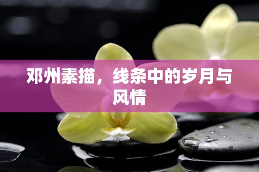 邓州素描，线条中的岁月与风情