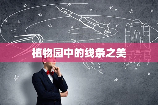 植物园中的线条之美