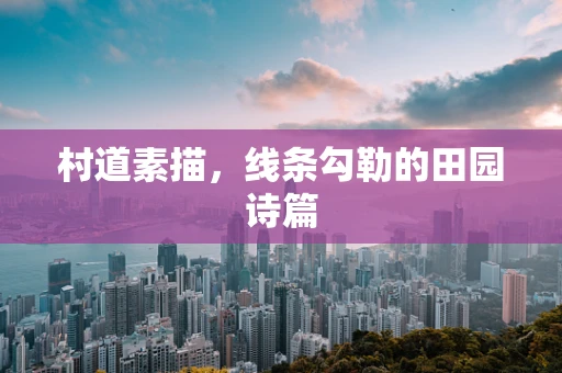 村道素描，线条勾勒的田园诗篇