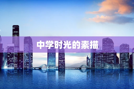 中学时光的素描