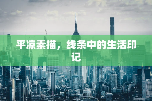 平凉素描，线条中的生活印记