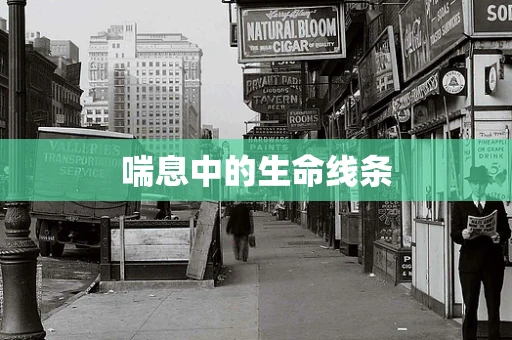 喘息中的生命线条