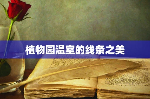 植物园温室的线条之美