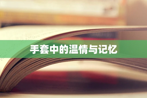 手套中的温情与记忆