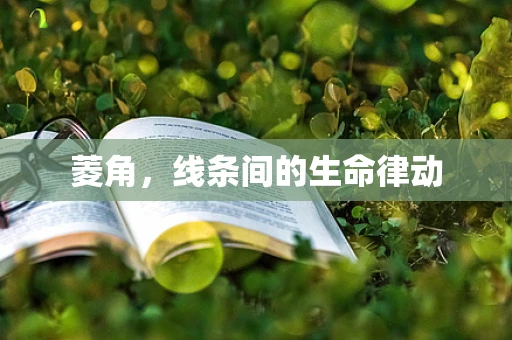 菱角，线条间的生命律动