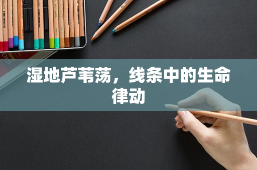 湿地芦苇荡，线条中的生命律动