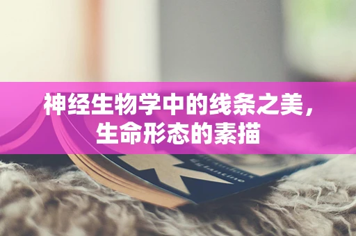 神经生物学中的线条之美，生命形态的素描