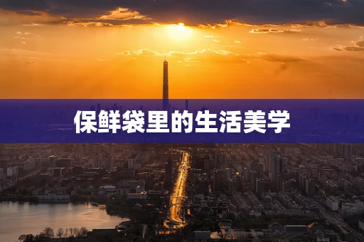 保鲜袋里的生活美学
