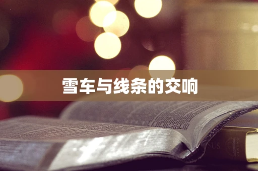 雪车与线条的交响