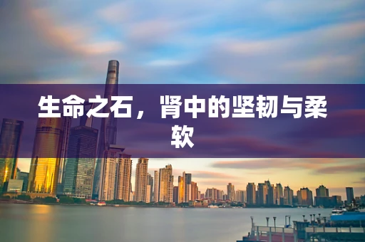生命之石，肾中的坚韧与柔软
