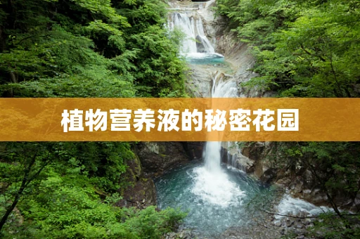 植物营养液的秘密花园