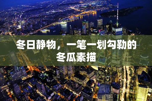 冬日静物，一笔一划勾勒的冬瓜素描