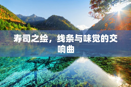 寿司之绘，线条与味觉的交响曲