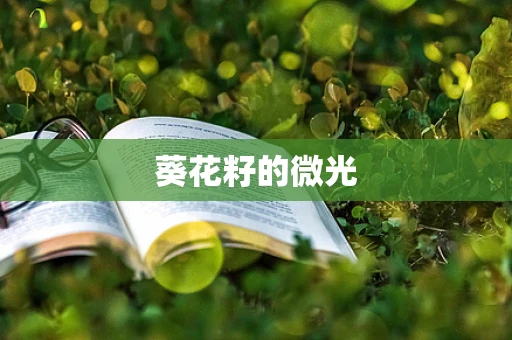 葵花籽的微光
