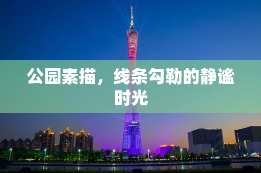 公园素描，线条勾勒的静谧时光