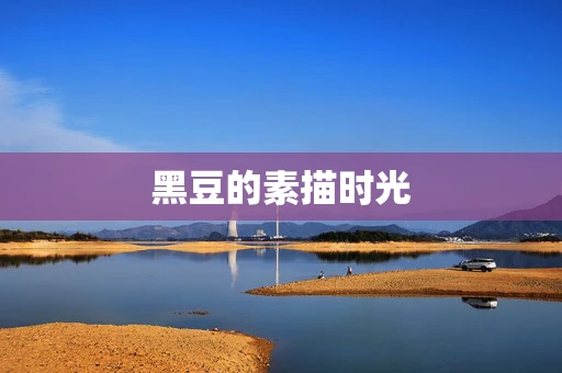 黑豆的素描时光