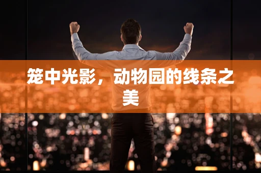 笼中光影，动物园的线条之美