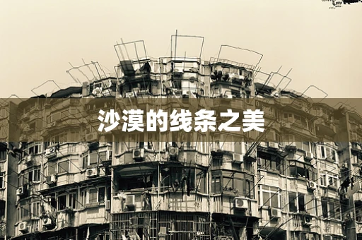 沙漠的线条之美