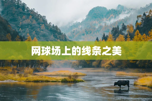 网球场上的线条之美